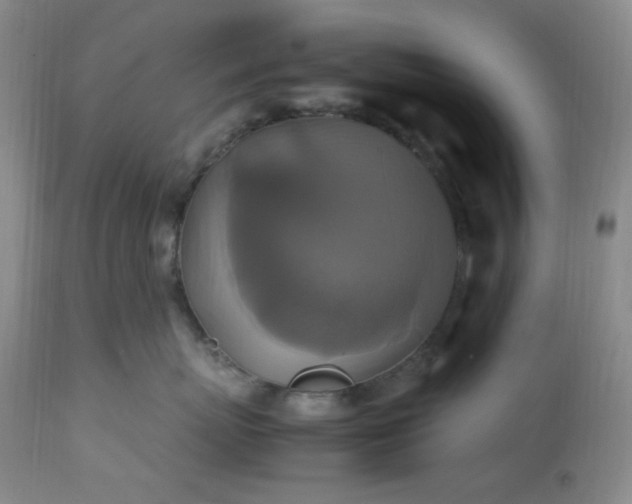 X0000113220767200909241448