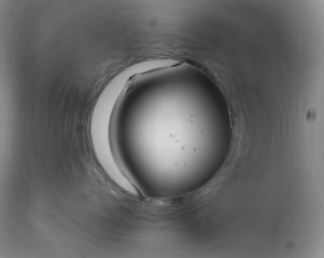 X0000113220768200909241448