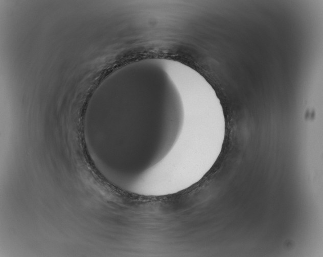 X0000113220769200909241447