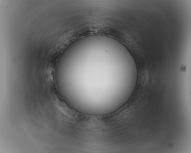 X0000113220770200909241447