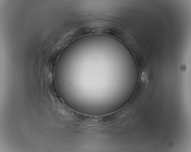 X0000113220771200909241447