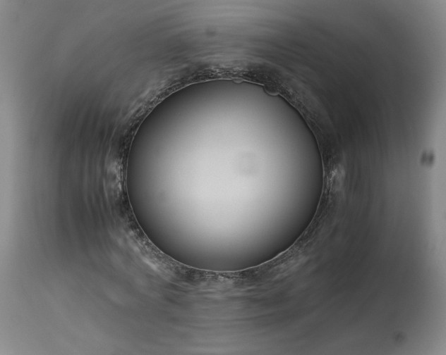 X0000113220772200909241447