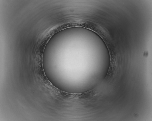 X0000113220773200909241447