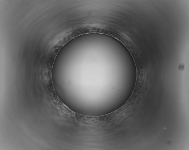 X0000113220774200909241447