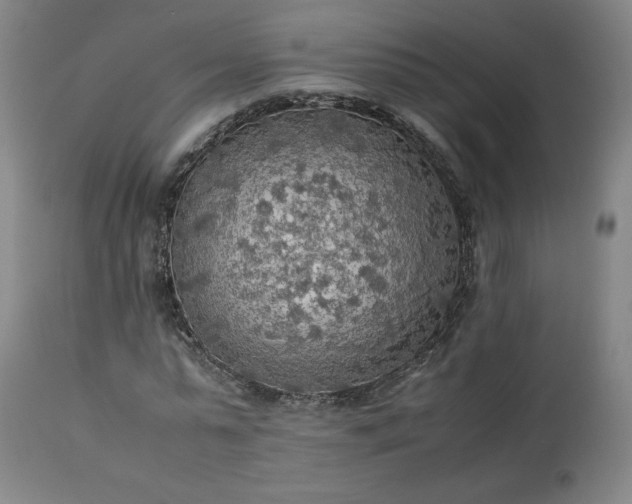 X0000113220775200909241447