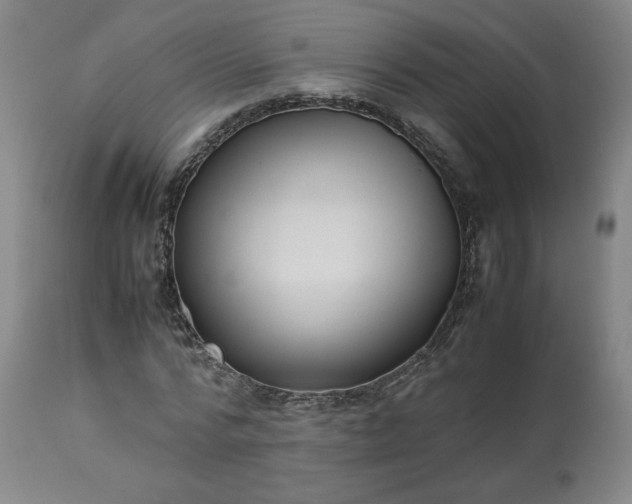 X0000113220776200909241447