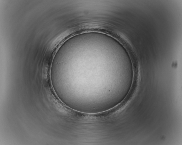 X0000113220777200909241447