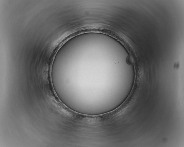 X0000113220778200909241447