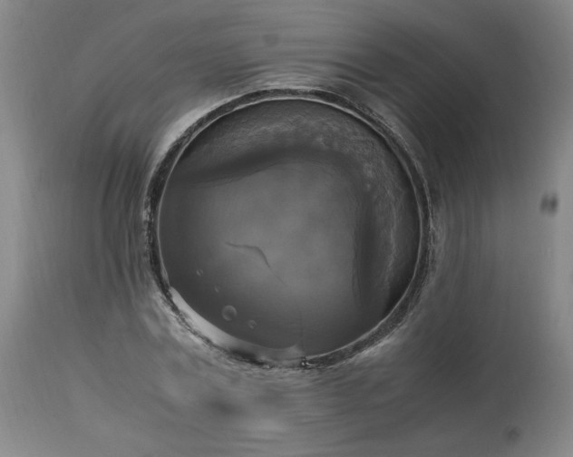 X0000113220779200909241447