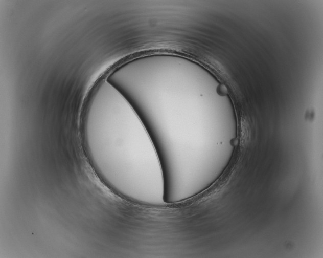 X0000113220780200909241447