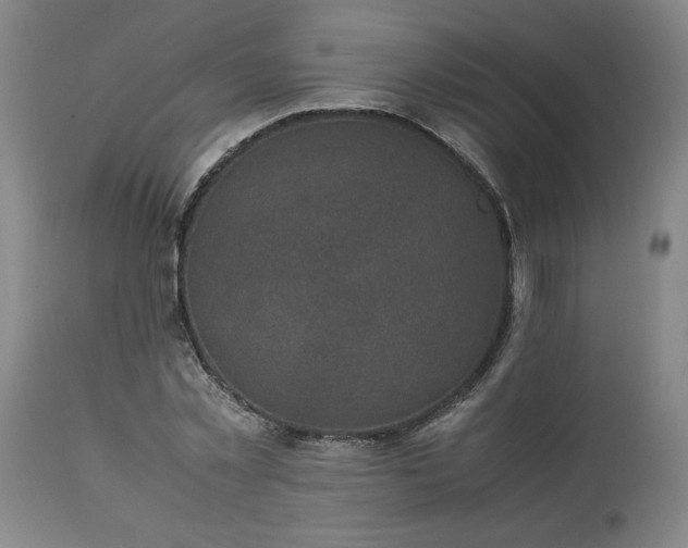 X0000113220781200909241447