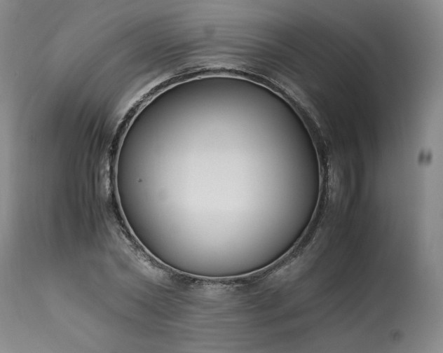 X0000113220782200909241447