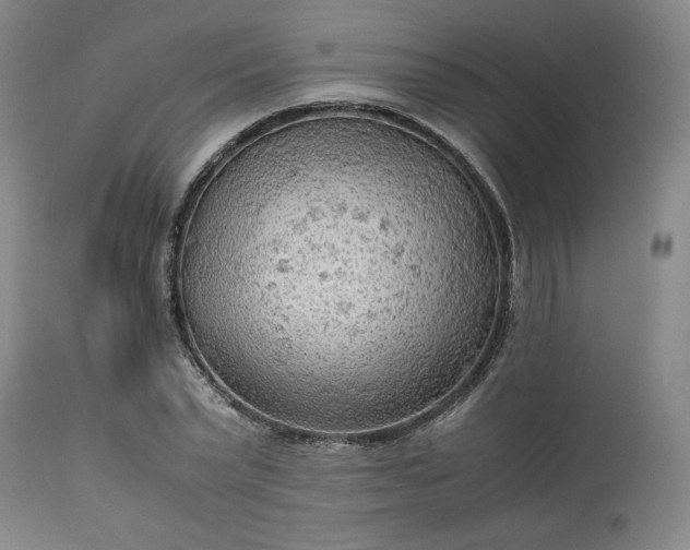 X0000113220783200909241447