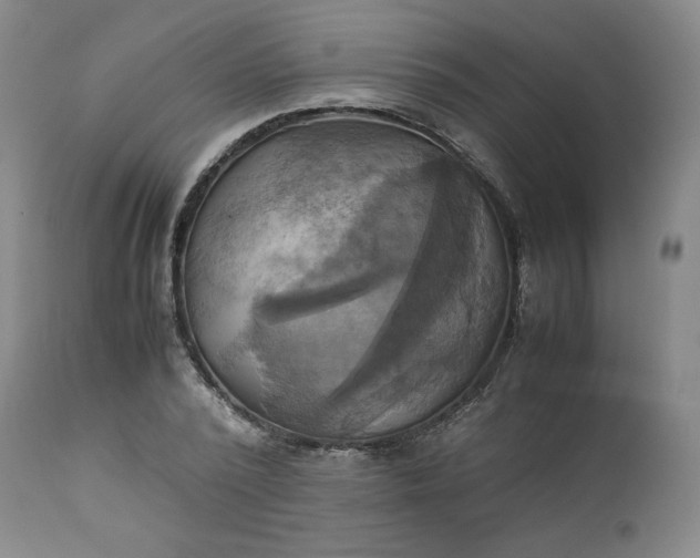 X0000113220784200909241447