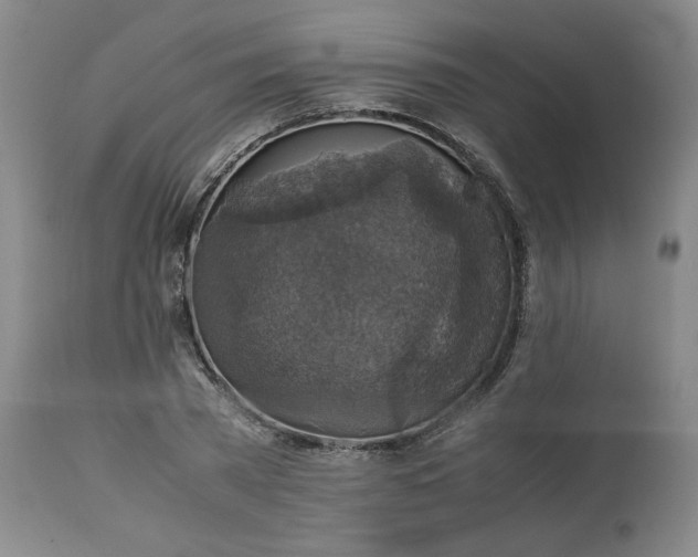 X0000113220785200909241447