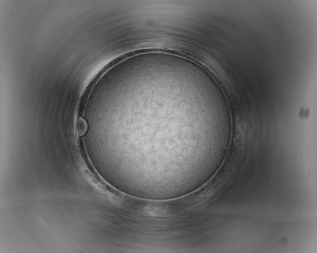 X0000113220788200909241447