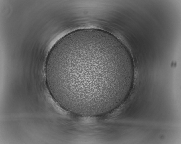 X0000113220789200909241447