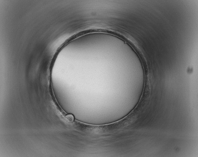 X0000113220791200909241447