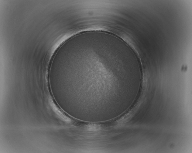 X0000113220797200909241447