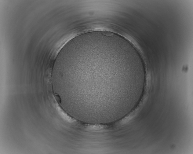 X0000113220801200909241447