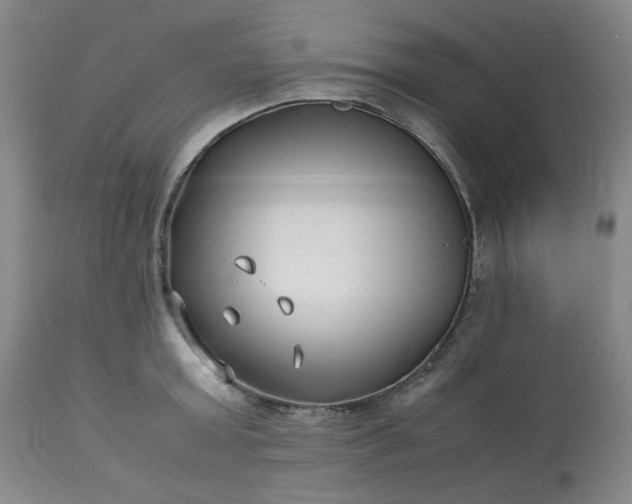 X0000113220803200909241447