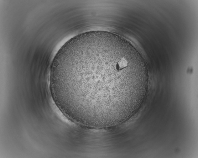 X0000113220804200909241447