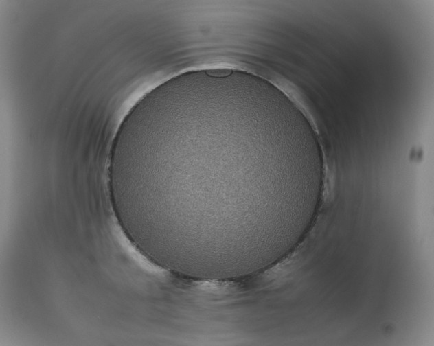 X0000113220805200909241447