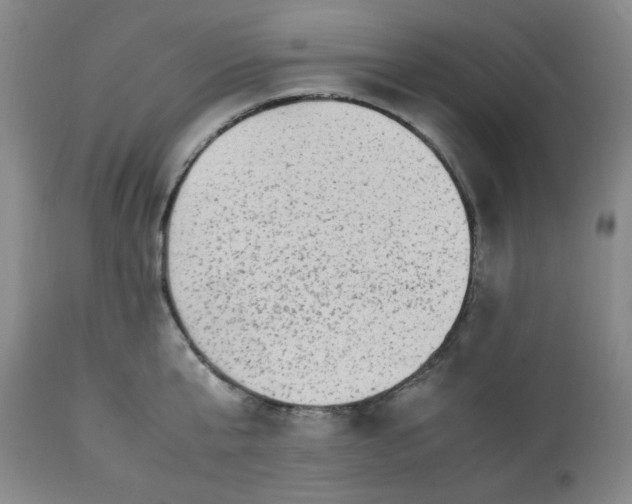 X0000113220807200909241447