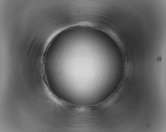 X0000113220808200909241446