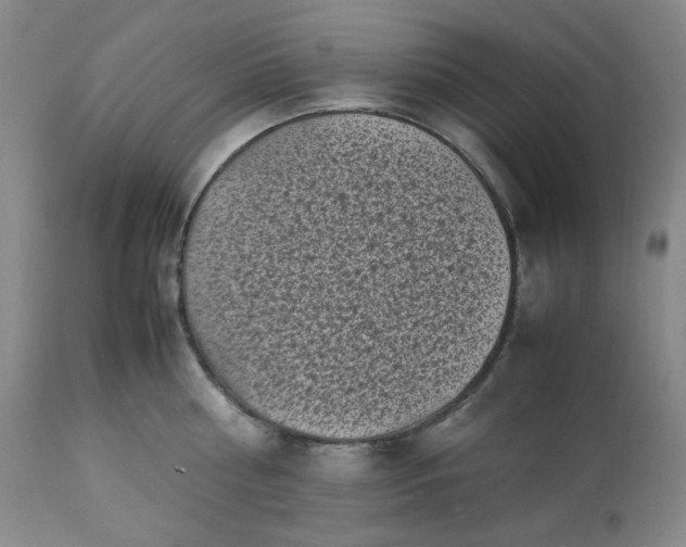 X0000113220810200909241446