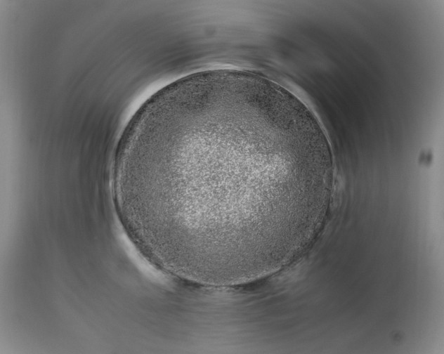 X0000113220811200909241446