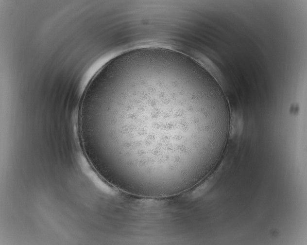 X0000113220812200909241446