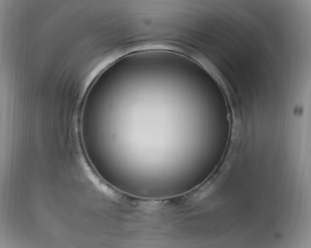 X0000113220813200909241446