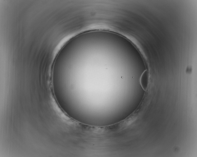 X0000113220815200909241446