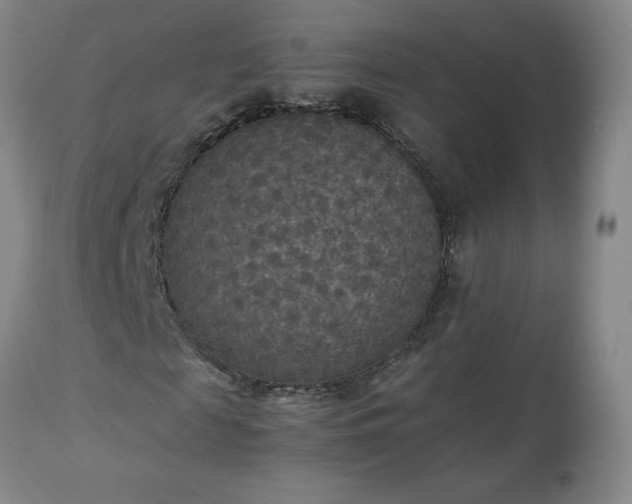 X0000113220817200909241446