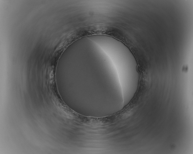 X0000113220818200909241446