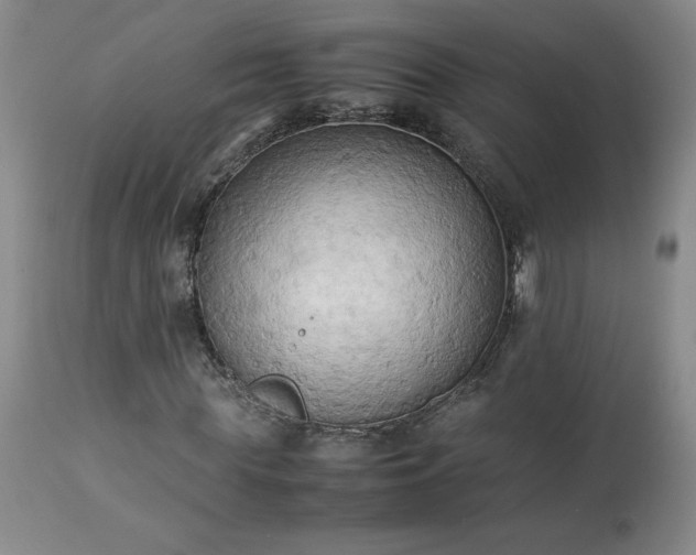 X0000113220819200909241446