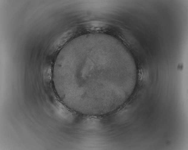 X0000113220820200909241446