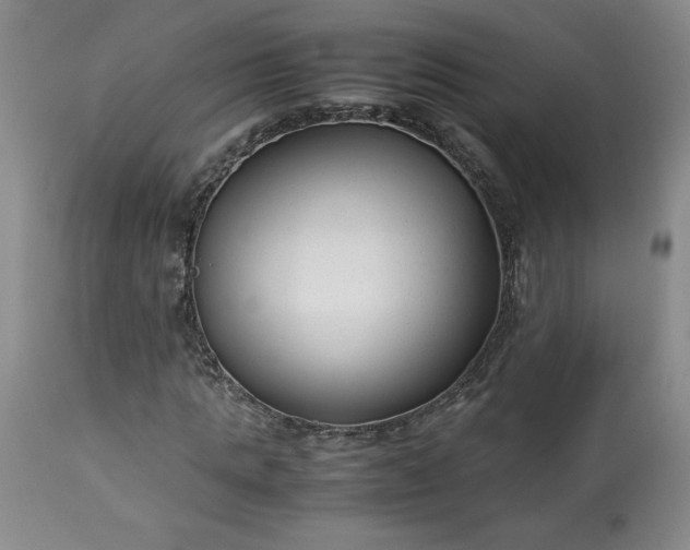 X0000113220821200909241446