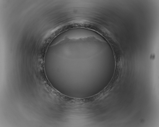 X0000113220822200909241446