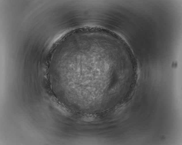 X0000113220823200909241446