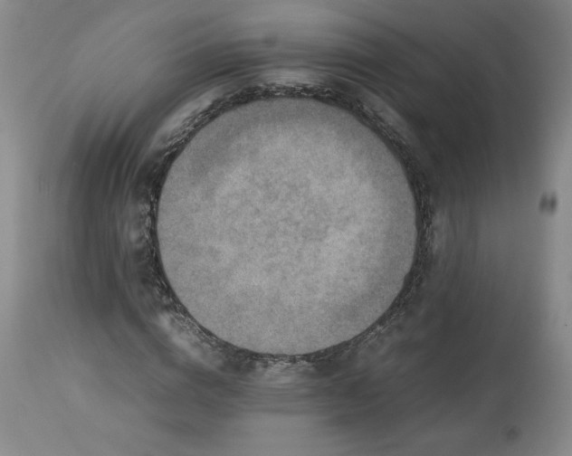 X0000113220824200909241446