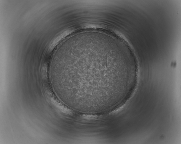 X0000113220825200909241446