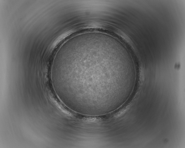 X0000113220826200909241446