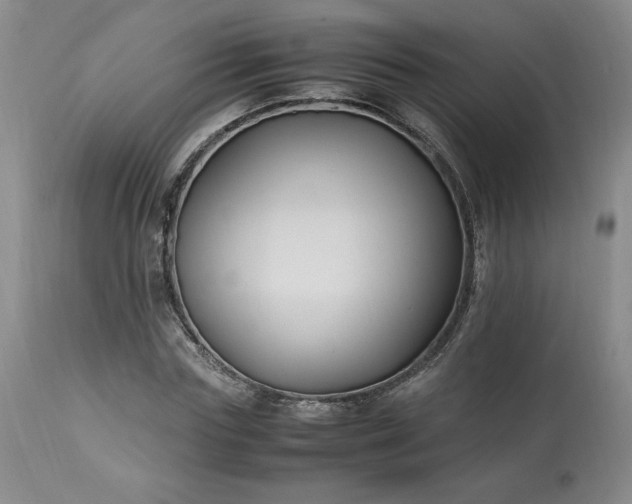 X0000113220827200909241446