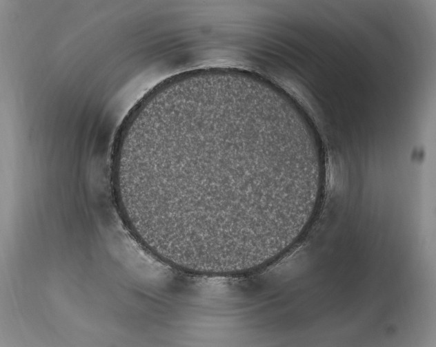 X0000113220828200909241446