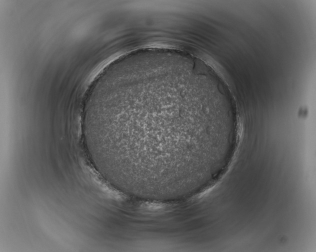 X0000113220829200909241446