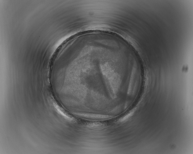 X0000113220830200909241446