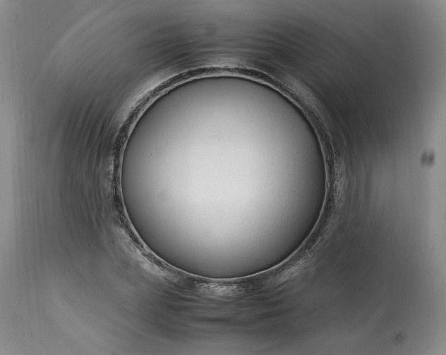 X0000113220831200909241446