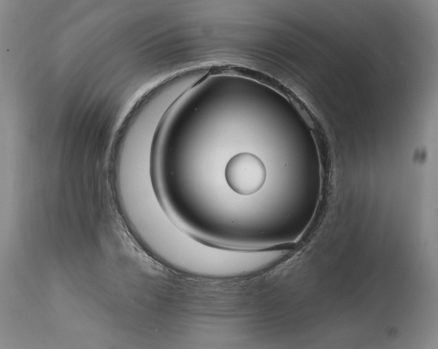 X0000113220832200909241446